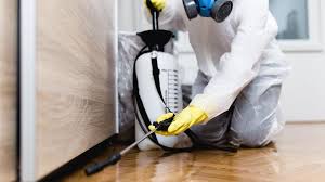 Real Estate Pest Inspections in Castle Pines, CO